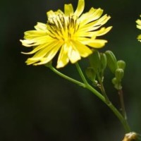 新还珠格格:老佛爷回宫庆典,小燕子好心闯大祸