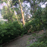 《我是大侦探》邓伦被吓的抱着吴磊一脸呆萌的