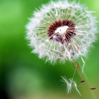 由刘诗诗、赵丽颖主演的古装爱情剧