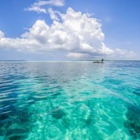 丈夫不幸入狱妻子直接提出离婚,6年后渣女想复