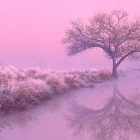 美女做吃鸡游戏的真人搞笑视频,超级逗趣哦!