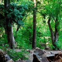 HelloKitty华夫饼制作食玩爱丽和故事