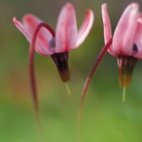 振金作为漫威世界中最坚硬的金属,用什么切割