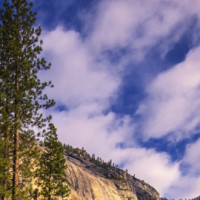 武器打诺手就像爸爸打儿子