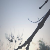 德云社郭德纲周年庆经典相声,包袱一个接一个