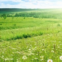 生活小窍门:家里路由器信号不好怎么办,妙招教