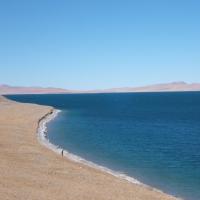 咆哮解说-孙杨上届奥运1500米游泳比赛逆天夺