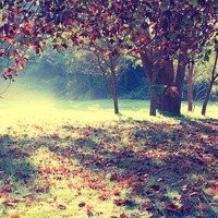 老外回国后疯狂吐槽美国小费文化,还是中国好