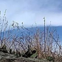 迷你世界生存:汤米拟定购房合同,欢迎新业主入