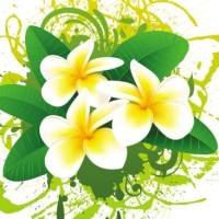 微微对愚公的成语要求,四个字就可以了!愚公可