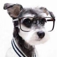 听说98k是种声乐 什么音乐都配