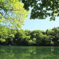 2018年英雄联盟季中冠军赛RNG队内语音