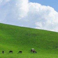 心机婊事情败露,董事长终于找到了亲生儿子,心