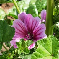 萨克斯技术教学