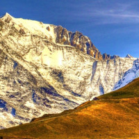 火影手游:团藏与止水有彩蛋吗?看了你就知道了