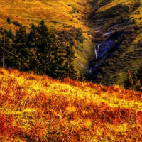 王者荣耀:S12赛季奖励,典韦新皮肤穷奇了解一