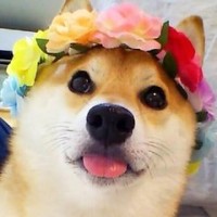 手机微信聊天打字太慢教你一绝招,1分钟300字