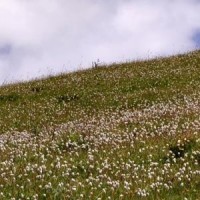 英雄联盟:大神亚索秀手速和意识缺一不可