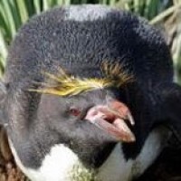 德之怒:鬼泣pk偶遇天空套剑魂,一个幻影剑舞秒