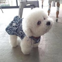 就是这段对话,诞生出了马云的经典语录,与撒贝