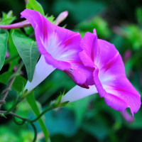 杨幂2018最新时尚广告大片,颠覆以往形象,这个