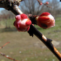 正能量! 《相信我们会创造奇迹》超赞的合唱歌