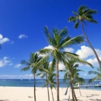 罕见!动物园女员工为大象取精人工授精全过程