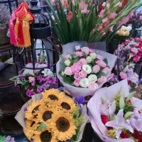 《三生三世十里桃花》凤九断尾花絮,原来帝君