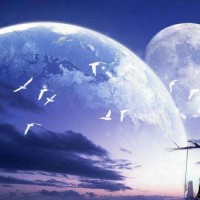 迪丽热巴看见郑恺在指压板上惨叫吓得飙方言,