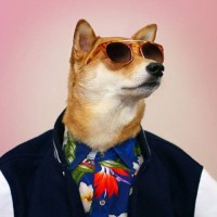 超清纪录片!《星耀征途--中国女排里约夺冠记》