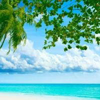 赵丽颖谢娜唱歌,谢娜唱了首歌,陈伟霆都甘拜下