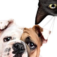 于果演唱伤感歌曲《侧脸》,伤感情歌!