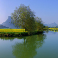 叶丽仪《新上海滩》主题曲,这个版本好听