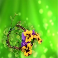 拜托了衣橱:体育圈里的人怎么了,张继科孙杨称