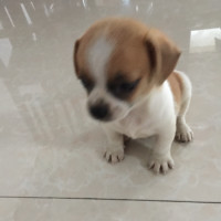 《女人有话说》清子学舞蹈手忙脚乱,谢依霖好