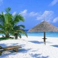 慈善拍卖会,陈赫苦做俯卧撑求出价,黄渤出价2