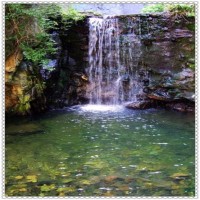 我是歌手:林忆莲劲歌热舞《拒绝再玩》那舞技