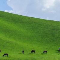 原来吴磊小时候还演过这部电视剧 这小嘴撅的