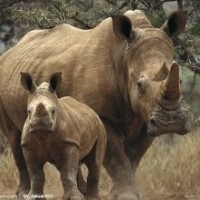 缅甸女孩在中国生活,缅币和人民币竟然相差这