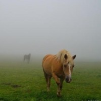 超震撼不换气杨培安演唱大海以及示范共鸣点转