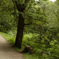 王俊凯身高体重大曝光