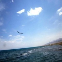 拜托了冰箱:薛之谦现场唱歌一秒破音,李小璐救