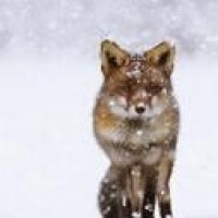 女孩为逃命进入电影屏幕中,却是噩梦的开始