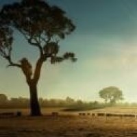 新兵训练,首长遭到狙击手射中,女兵想去救人结