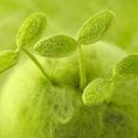 搞笑白敬亭说英语小白你的英语我怎么听不懂