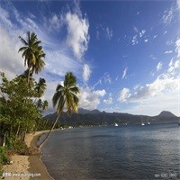 桃李满天下的故事:杨幂黑发白裙优雅亮相,现场