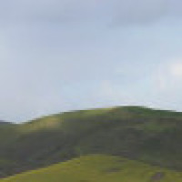 挖深坑陷阱捉鱼,简单却是收获多的鱼!值得学习