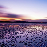 儿童早教动画:彩色直升机营救消防车和搅拌车