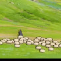 益智早教,宝宝切水果学英语