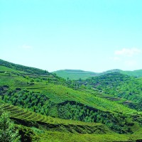 陈翔六点半:公司老板发的节日福利,没人敢去领